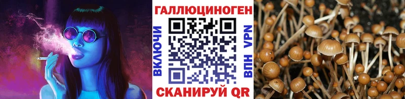 Псилоцибиновые грибы GOLDEN TEACHER  Купить закладки  Бобров 